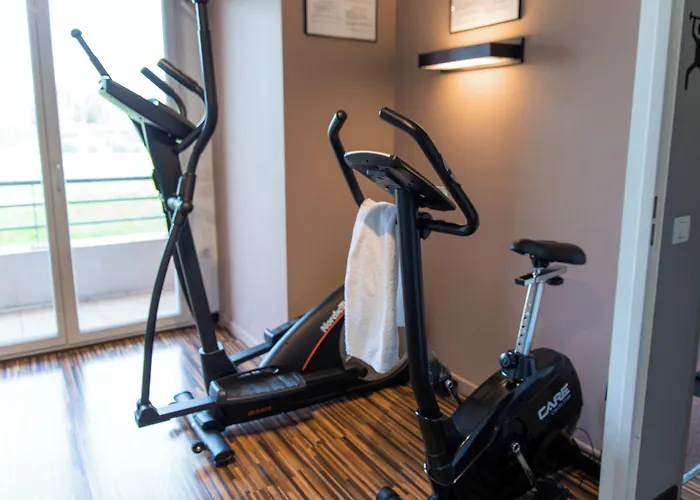 Clarion Le Parc De L'escale 4* トゥールーズ