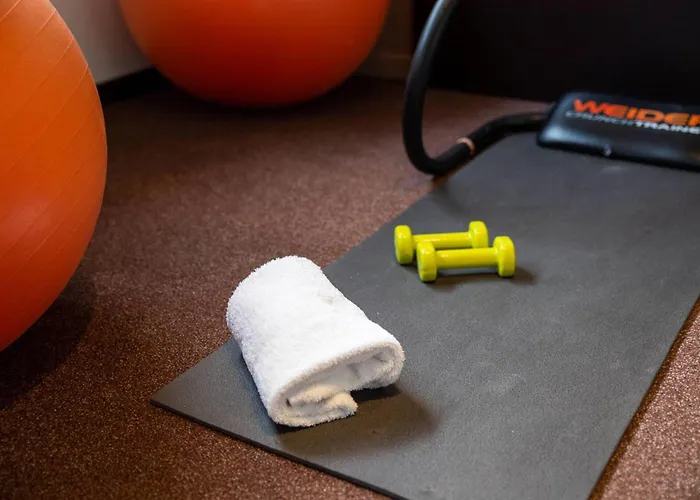 Clarion Le Parc De L'escale トゥールーズ